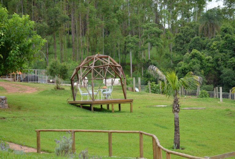 A Paz está na sincronicidade que existe na Natureza. (Website) (30 x 20.32 cm) (800 x 542 px) (23)