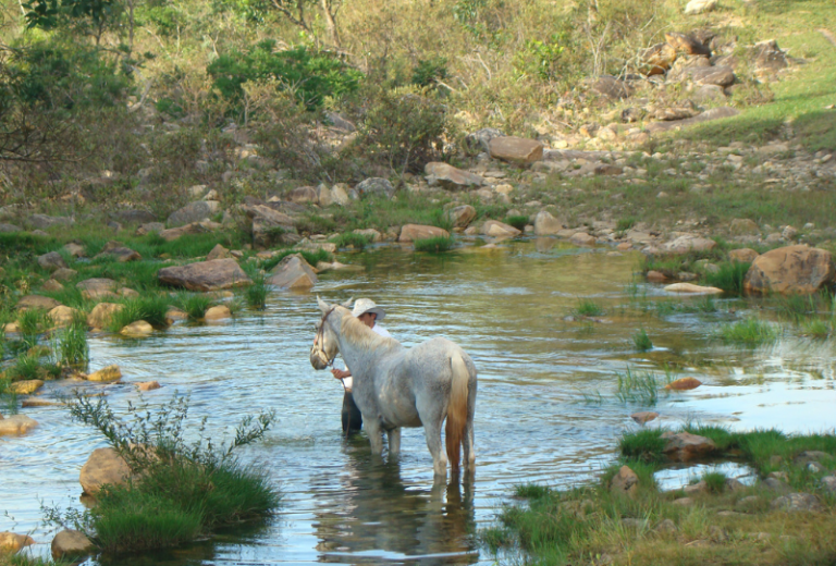 A Paz está na sincronicidade que existe na Natureza. (Website) (30 x 20.32 cm) (800 x 542 px) (39)