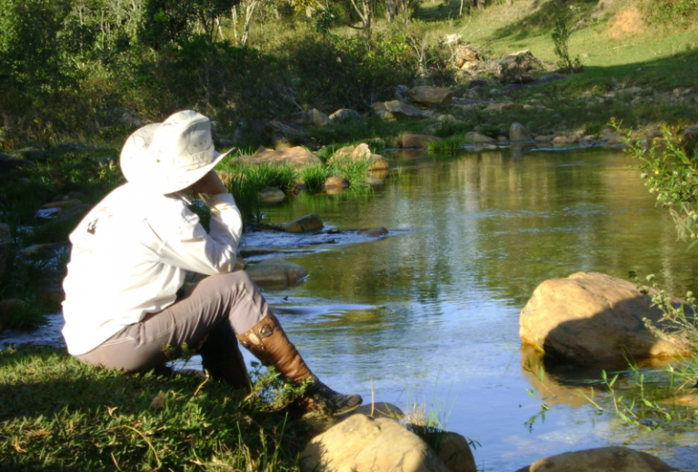 A Paz está na sincronicidade que existe na Natureza. (Website) (30 x 20.32 cm) (800 x 542 px) (63)